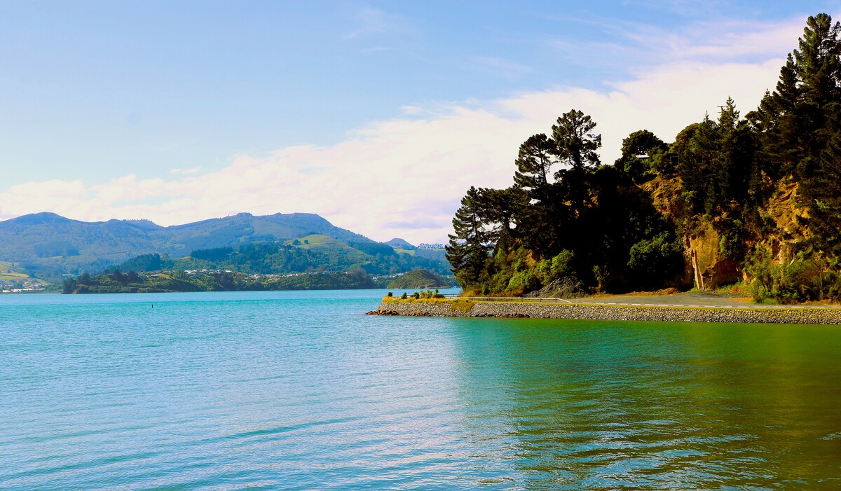 Broad Bay Dunedin New Zealand